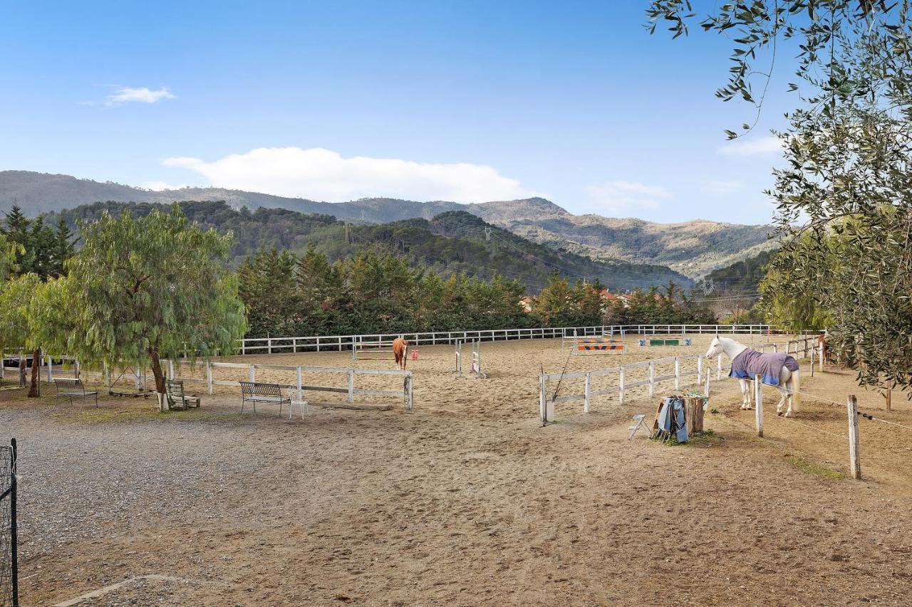 Messalina Agriturismo La Scuderia Molino Nuovo  ภายนอก รูปภาพ